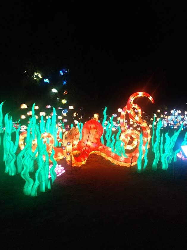 Bright-nights-image4