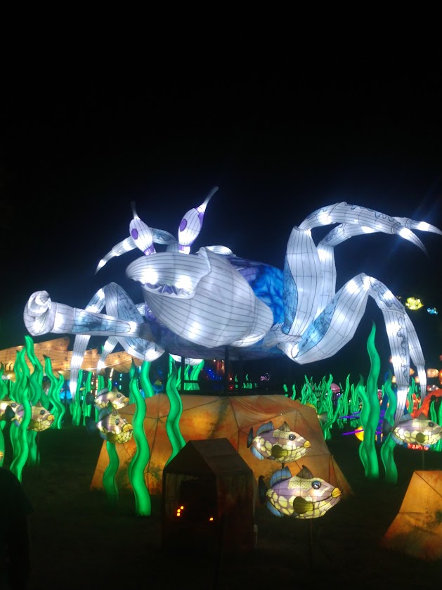 Bright-nights-image1